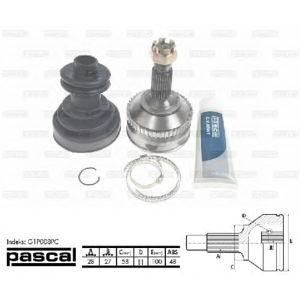 каре комплект, полуоска PASCAL G1P008PC 