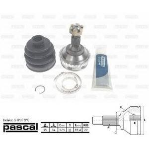 каре комплект, полуоска PASCAL G1P015PC 
