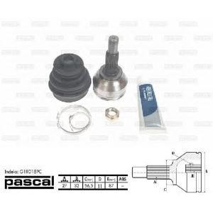 каре комплект, полуоска PASCAL G1R018PC 