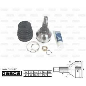 каре комплект, полуоска PASCAL G1R019PC 