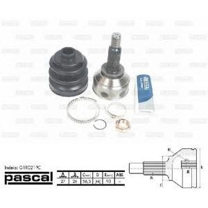 каре комплект, полуоска PASCAL G1R021PC 