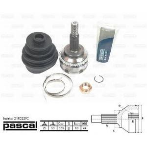 каре комплект, полуоска PASCAL G1R022PC 