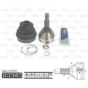 каре комплект, полуоска PASCAL G1R023PC 