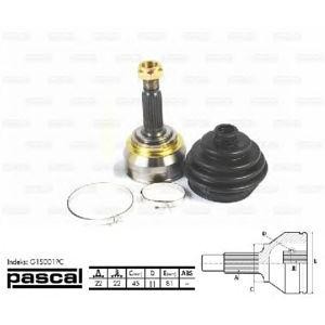 каре комплект, полуоска PASCAL G1S001PC 