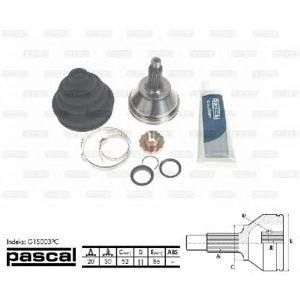 каре комплект, полуоска PASCAL G1S003PC 