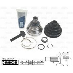 каре комплект, полуоска PASCAL G1S009PC 