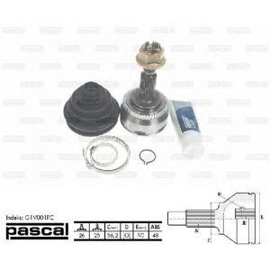 каре комплект, полуоска PASCAL G1V001PC 