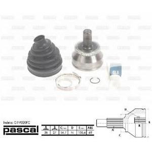 каре комплект, полуоска PASCAL G1V020PC 