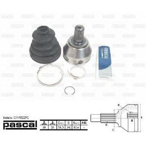 каре комплект, полуоска PASCAL G1V022PC 