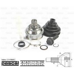 каре комплект, полуоска PASCAL G1W006PC 