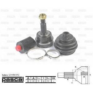 каре комплект, полуоска PASCAL G1W011PC 