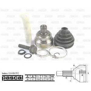каре комплект, полуоска PASCAL G1W017PC 