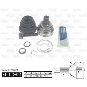каре комплект, полуоска PASCAL G1W034PC 
