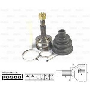 каре комплект, полуоска PASCAL G1X001PC 