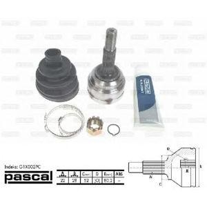 каре комплект, полуоска PASCAL G1X002PC 