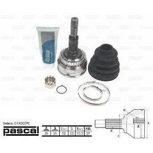 каре комплект, полуоска PASCAL G1X003PC 