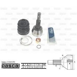 каре комплект, полуоска PASCAL G1X013PC 