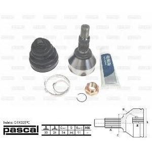 каре комплект, полуоска PASCAL G1X028PC 