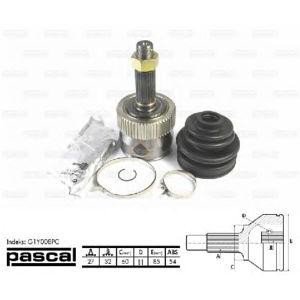 каре комплект, полуоска PASCAL G1Y008PC 