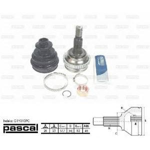 каре комплект, полуоска PASCAL G1Y010PC 
