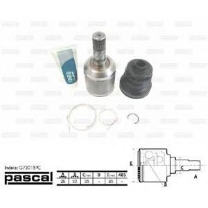 каре комплект, полуоска PASCAL G73015PC 