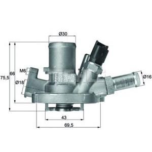 термостат BEHR TI 151 80 