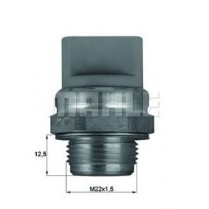 термошалтер BEHR TSW 11 