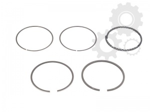 комплект сегменти R66190 STD